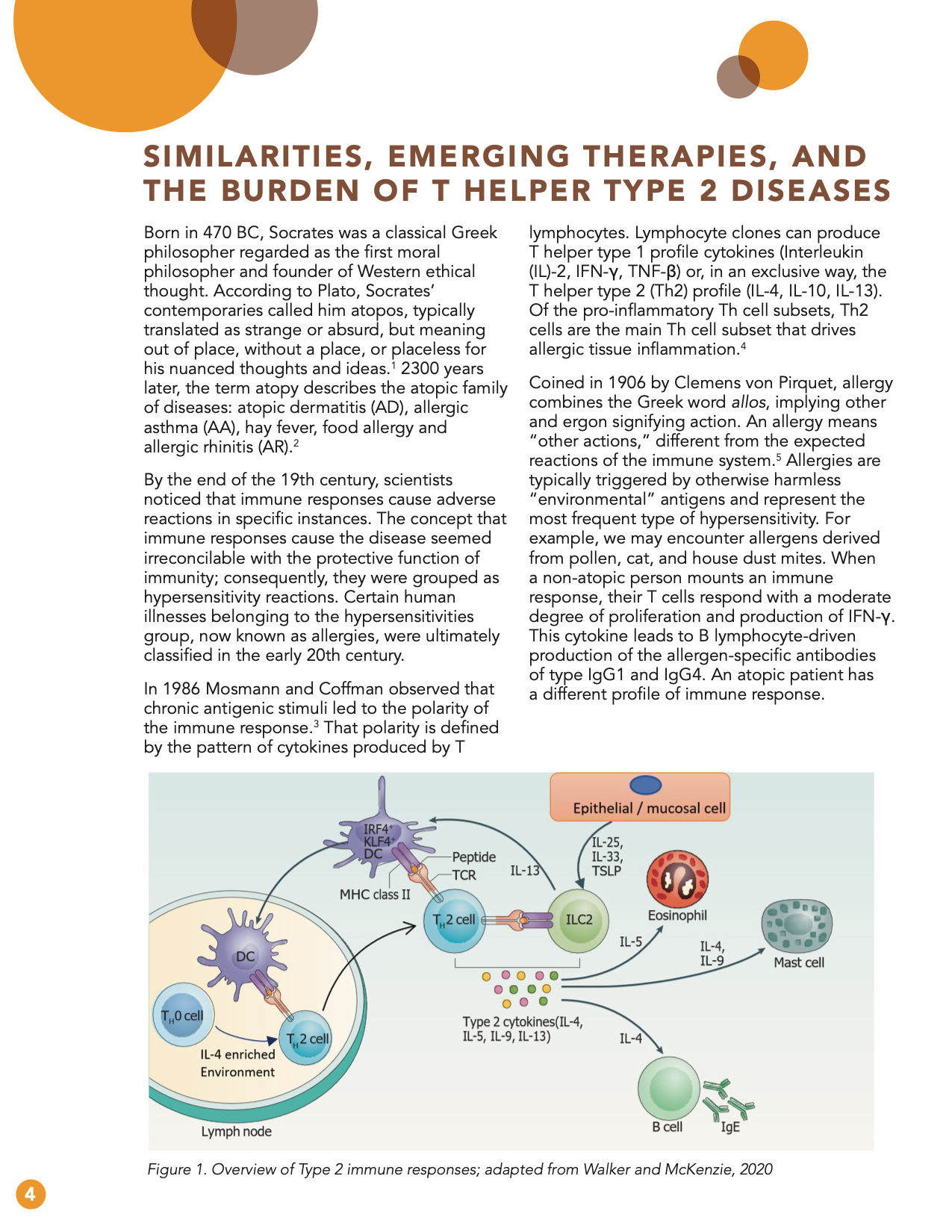 Similarities, emerging therapies, and the burden of T help type 2 diseases